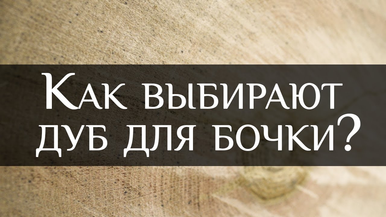 Как выбрать лучший дуб для бочки? | How to choose oak for the wine barrel | Бондарная Лавка