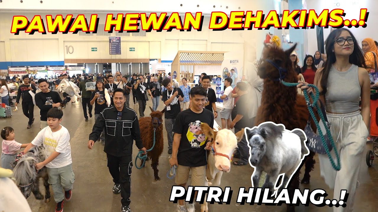 FUJI BAWA KABUR POKA,PITRI SAMPE HILANG..!!?