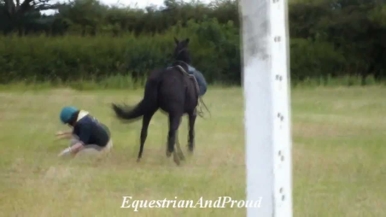 Horse bloopers [2400 subscribers]