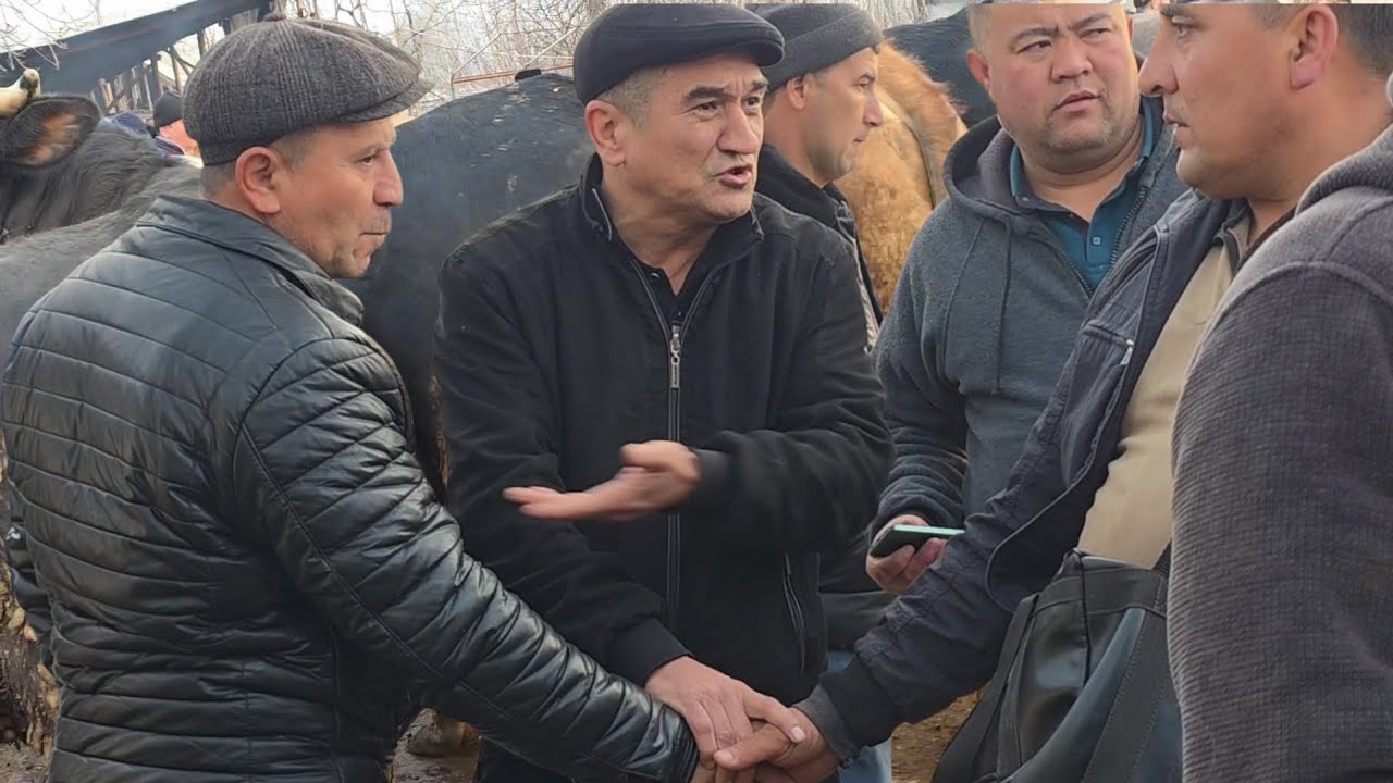 BALIQCHI BUQA BOZORI BOZORDA YASHUR KOʻPMI SAVDO YOʻQMI TANSHING 