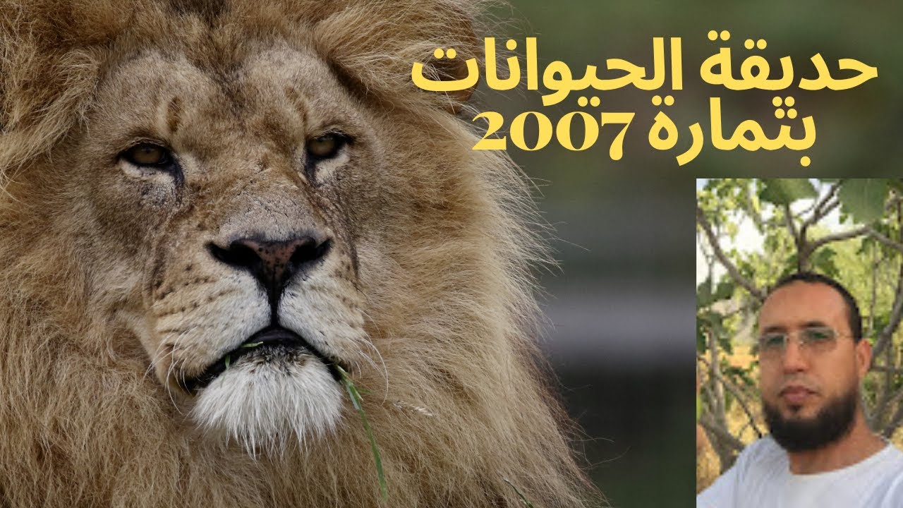 الحديقة الوطنية للحيوانات بتمارة 2007 اكبر حديقة بالمغرب