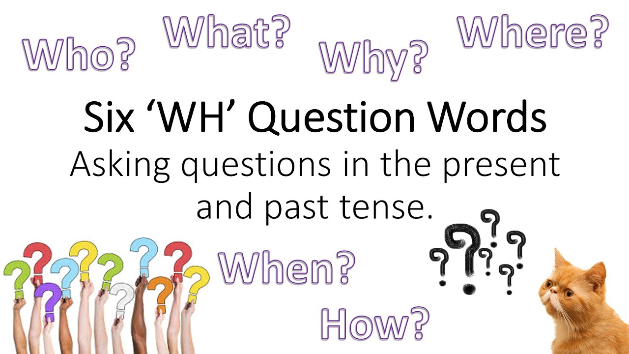 Asking Questions Using WH Question Words (Entry 1 and Entry 2 ESOL)