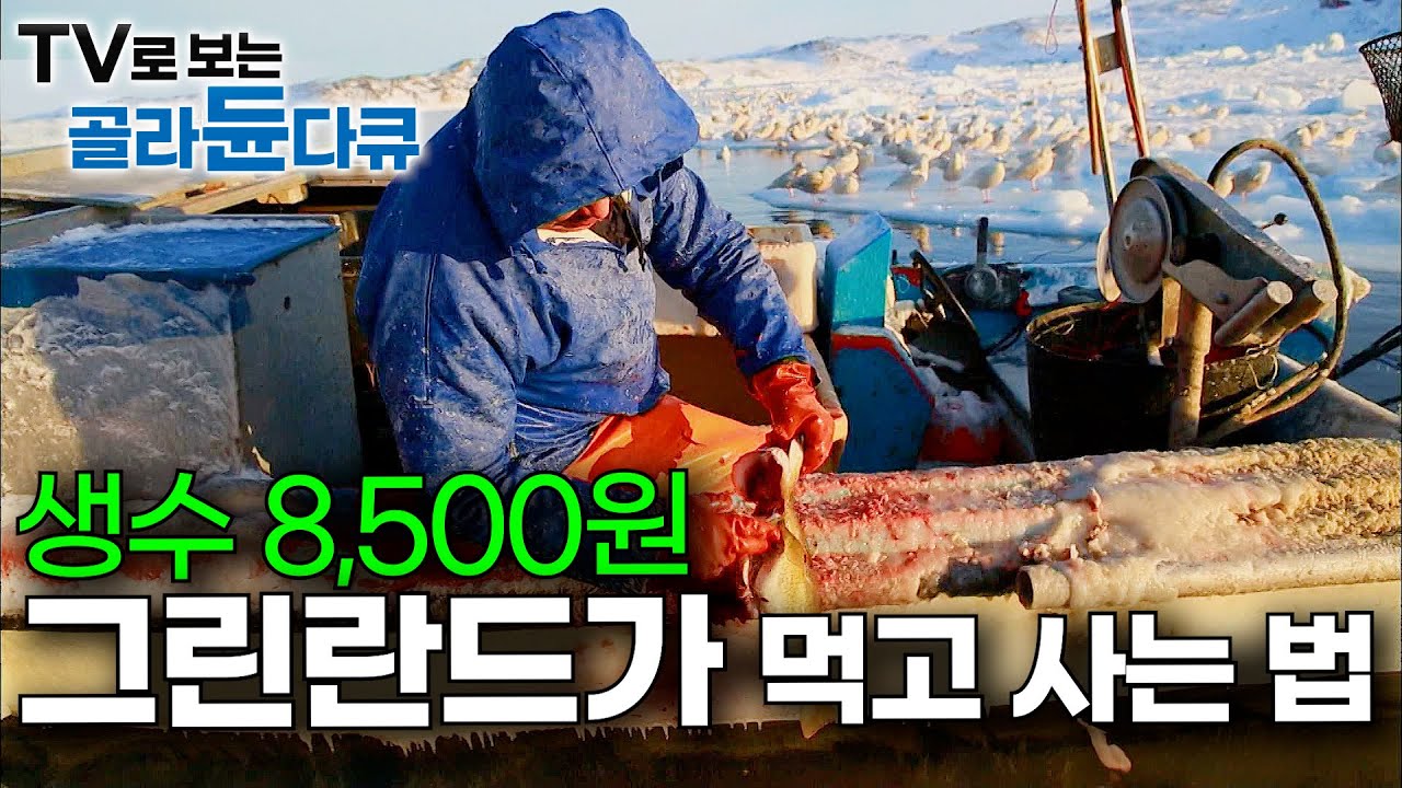 작은 생수 병이 한국 국밥 가격. 오늘도 사냥하러 떠난다. 농산물 전량 수입하는 그린란드가 먹고 사는 방법｜이누이트 족｜그린란드｜#골라듄다큐