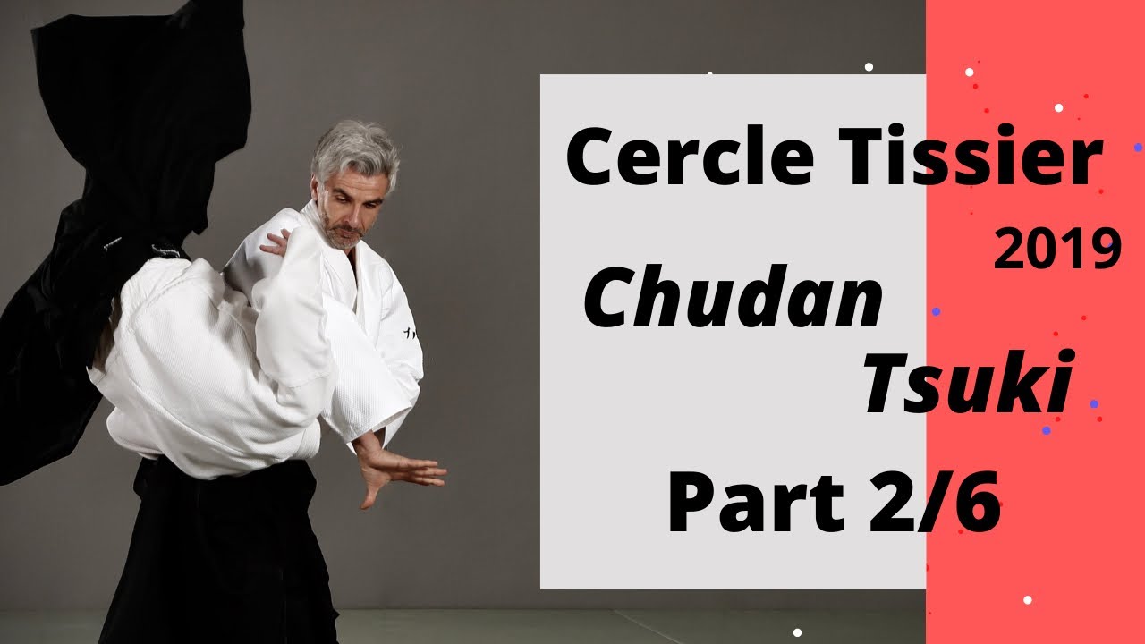 Aikido - Chudan tsuki dodges & more by Bruno Gonzalez part 2/6