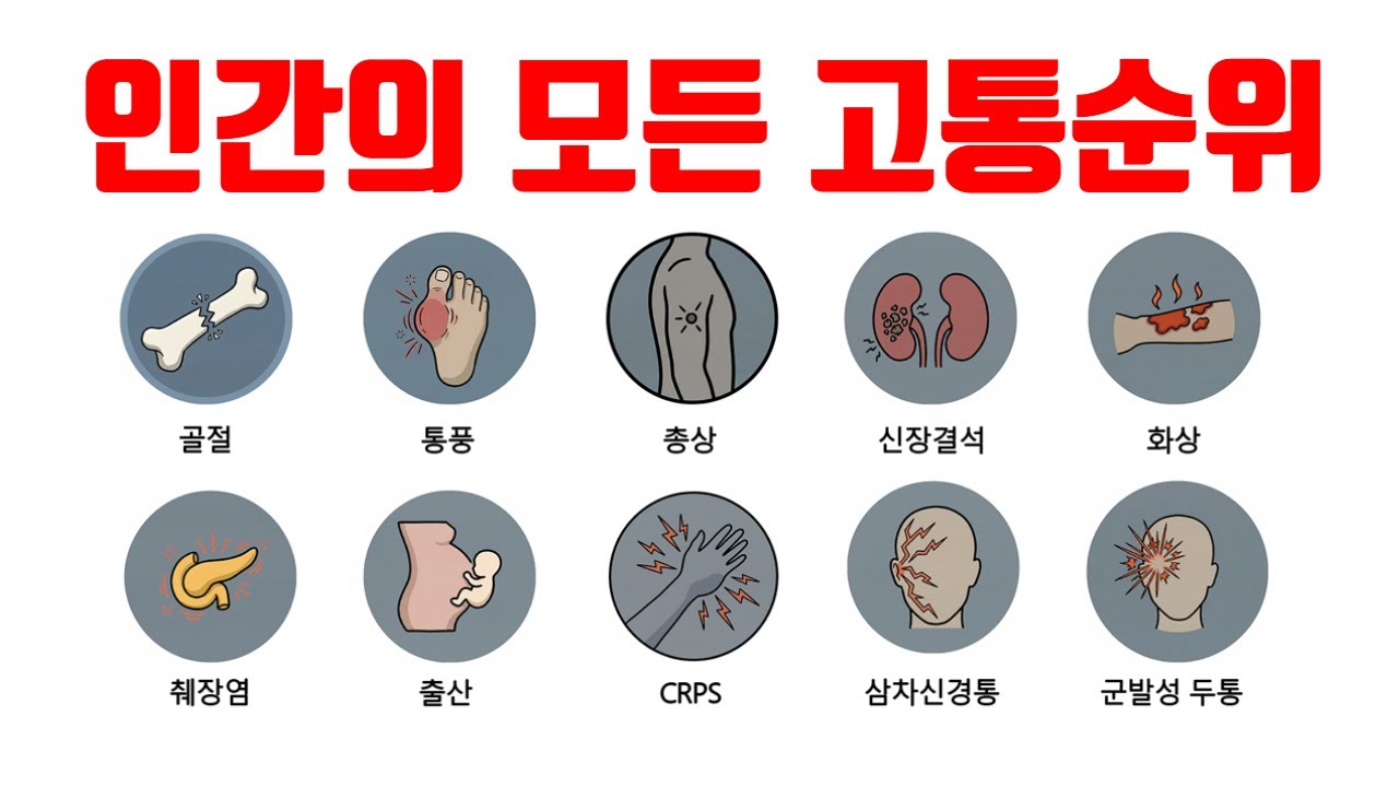 인간의 모든 고통순위 7분정리