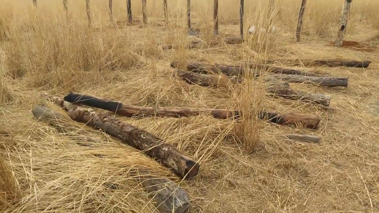 Curral de arame liso/segundo vídeo 