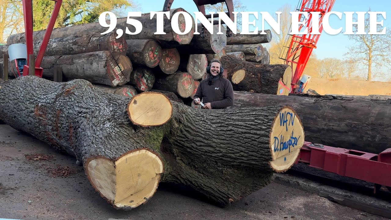 WIE SÄGEN WIR DIESEN EICHENSTAMM🪵? - SCHRITT FÜR SCHRITT ERKLÄRT!
