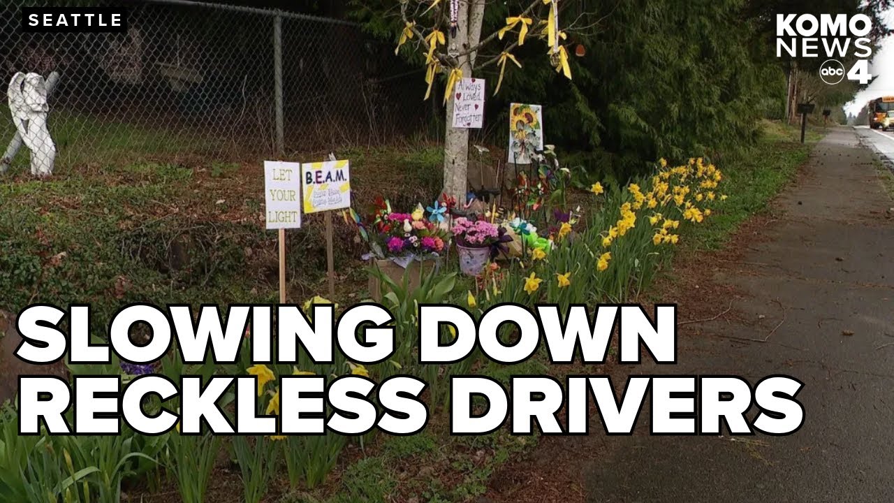 New law aims to keep reckless drivers in check