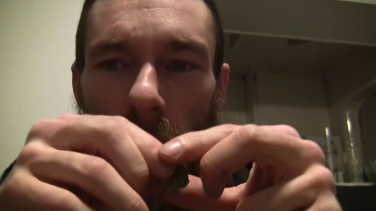 tokin daily: a proper grow room @ denver relief
