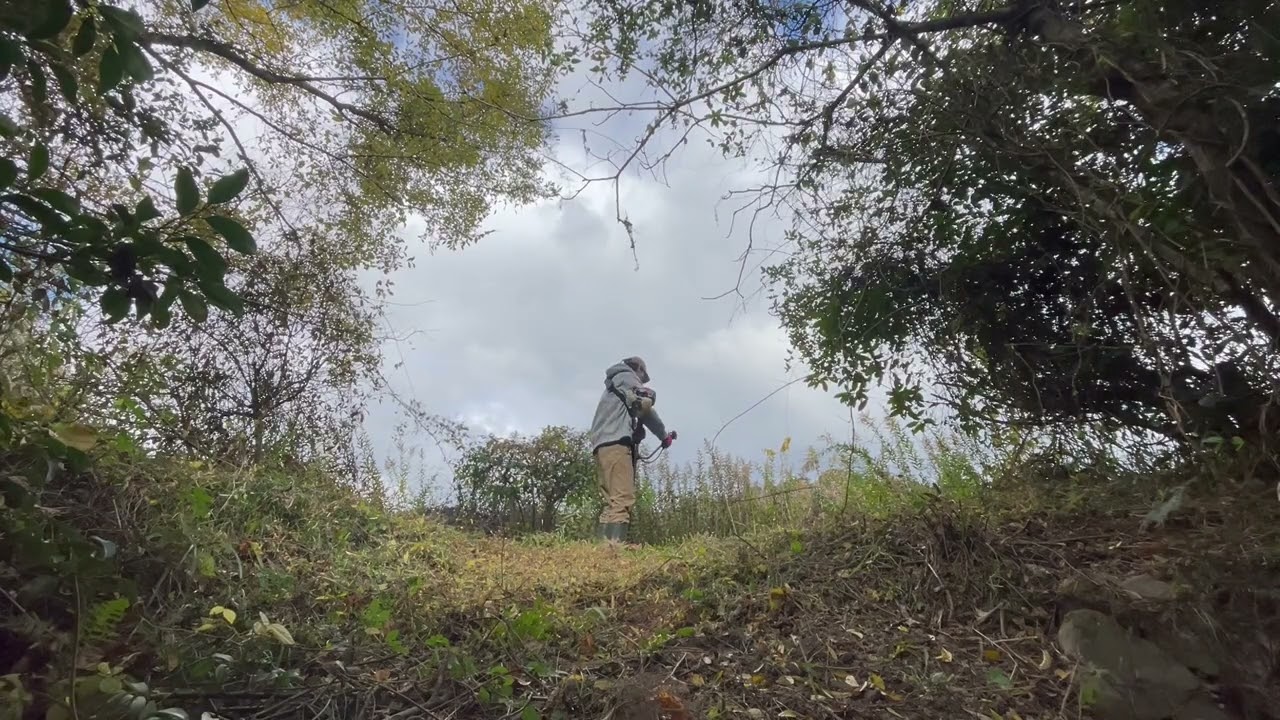 #9 【五風縁】じめっと湿ついた北向きのお庭に光と風を届ける。