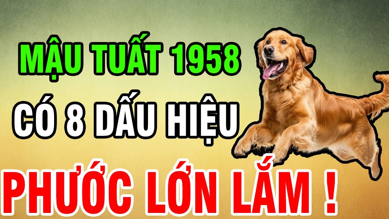 Tuổi Mậu Tuất 1958 - Có 8 Dấu Hiệu Này Trên Thân, Phước Lớn Lắm, Khổ Mấy Cũng Qua, Về Già An Nhàn!