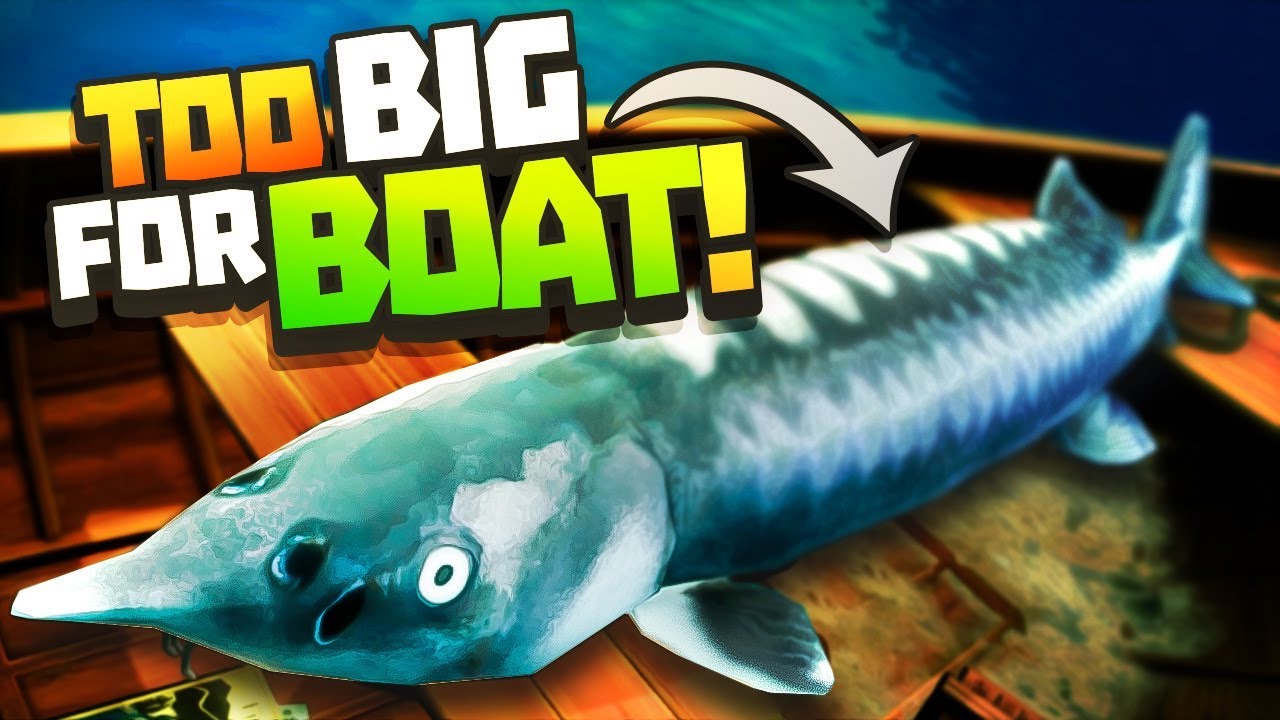 BIGGEST FISH EVER, TOO BIG FOR THE BOAT! - Catch & Release Gameplay - VR HTC Vive Pro