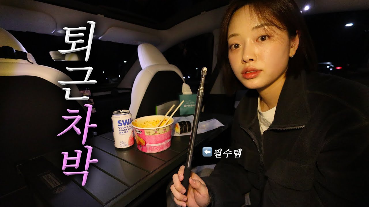 테슬라로 할 수 있는 가장 간단한 차박 🚗 | 내돈내산 가성비 필수템 추천 | 스텔스차박 | 노지차박