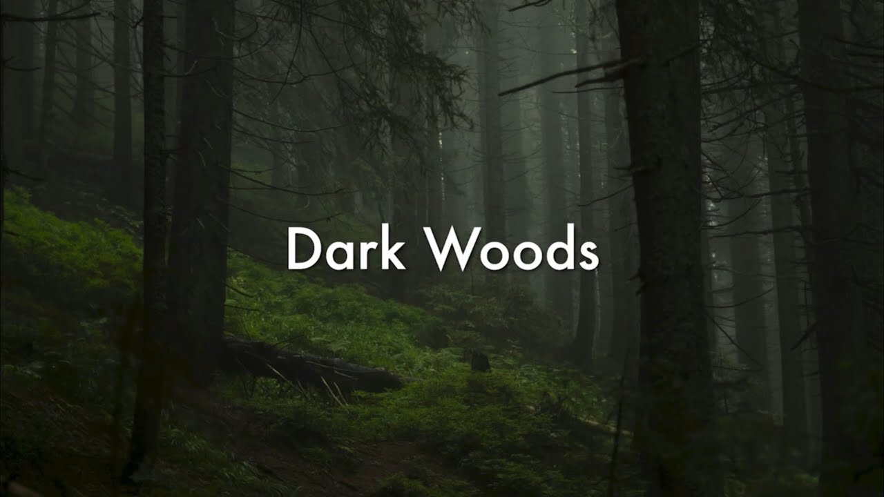 Dark Woods