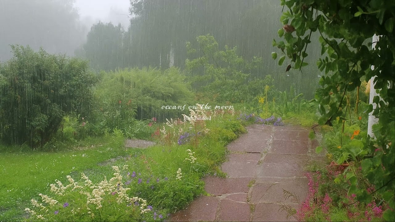 summer rain & soft melodies