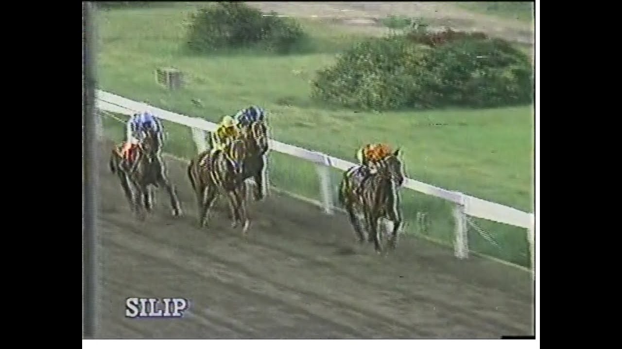 Marielles Pet, Time after Time 1991