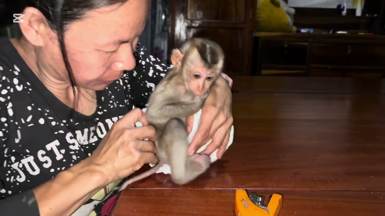 Mary take a shower #mary #monkey #animals