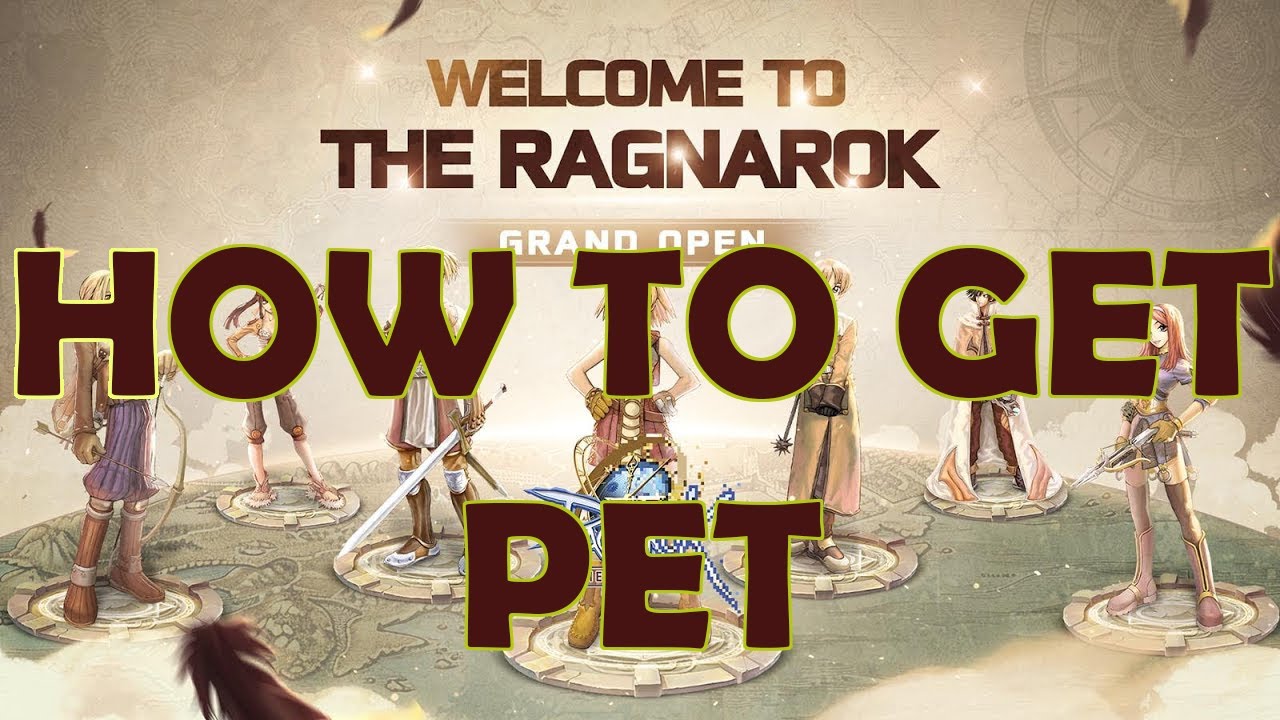 The Ragnarok - How to get pet