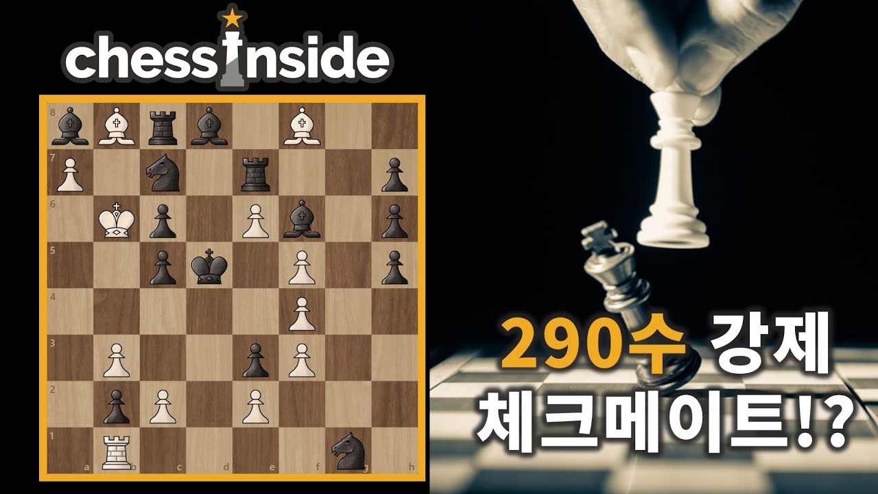290수 체크메이트를 찾으실 수 있나요?