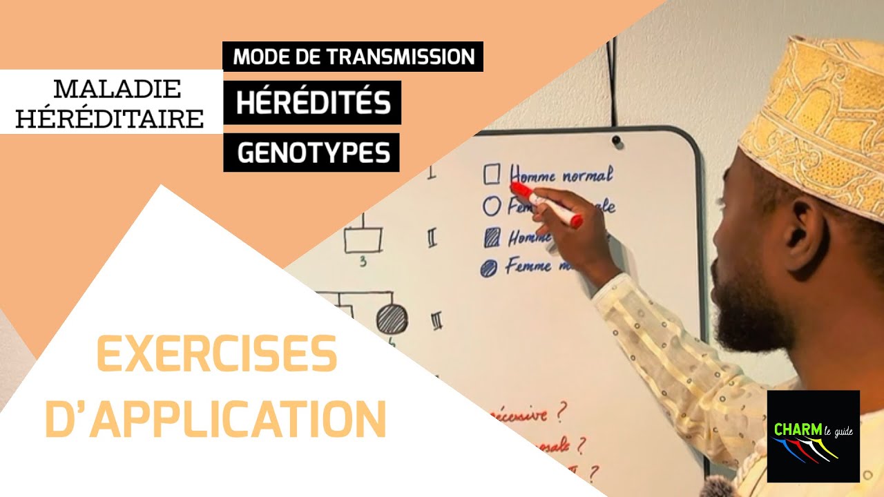 G&Eacute;N&Eacute;TIQUE HUMAINE: Dominant ou R&eacute;cessif, Autosomale ou Gonosomale, G&eacute;notype [Exercice d&rsquo;application]