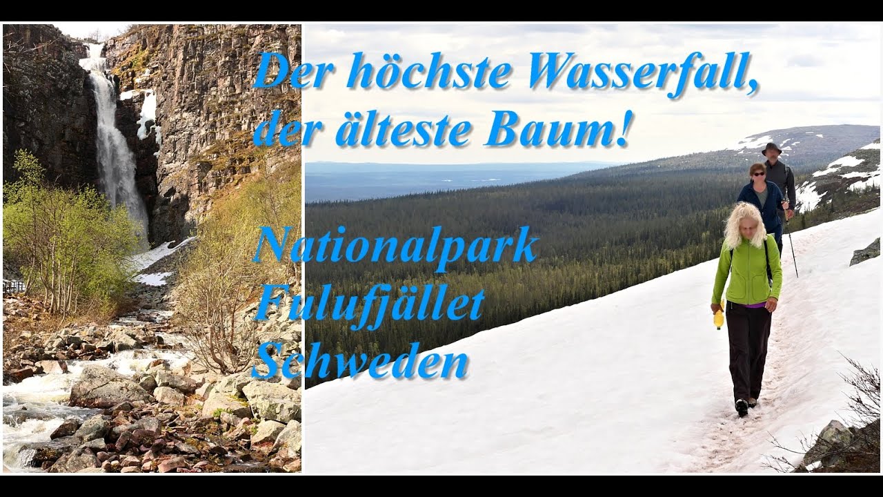 Norwegen 2023, Wandern, Fulufjället, Schweden; Hiking Fulufjället, Sweden