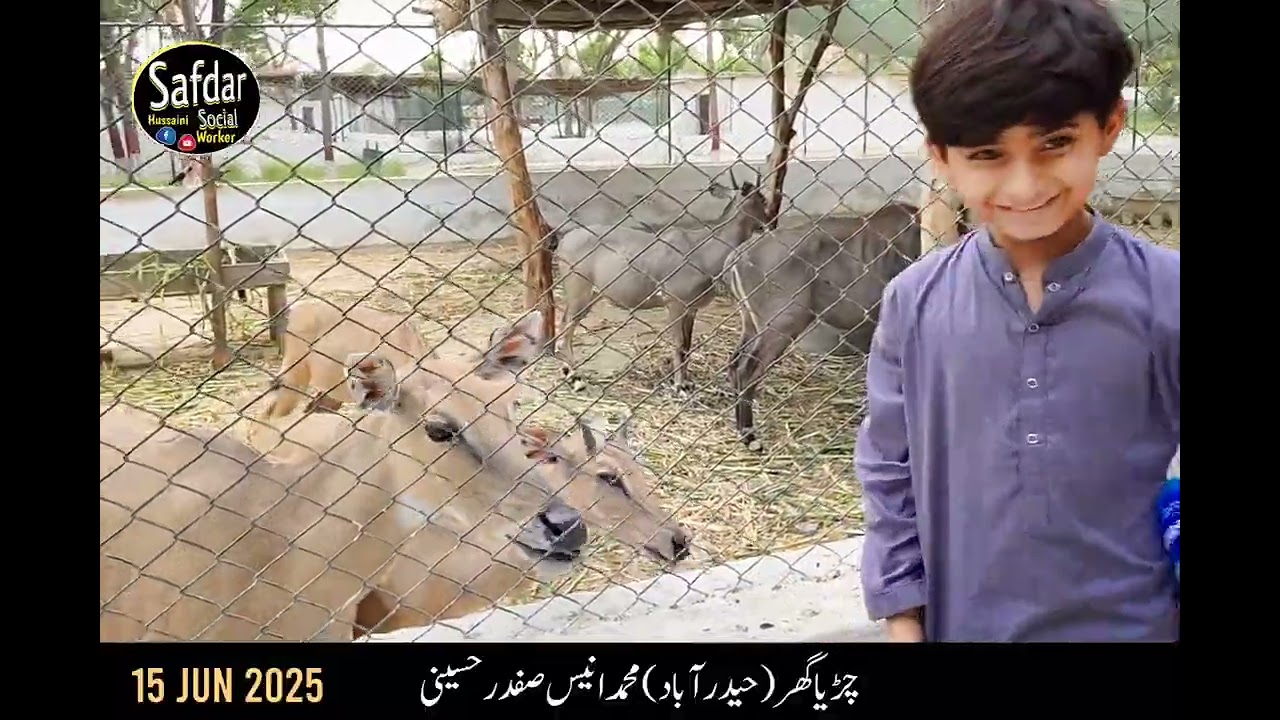 Chirya Ghar Hyderabad | Animal Zoo Hyderabad Muhammad Anees Safdar Hussaini 15 JUN 2025