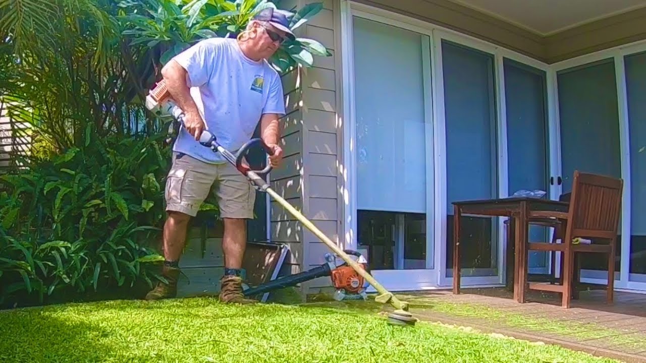 Line Trimming a small backyard No Lawn Mower required