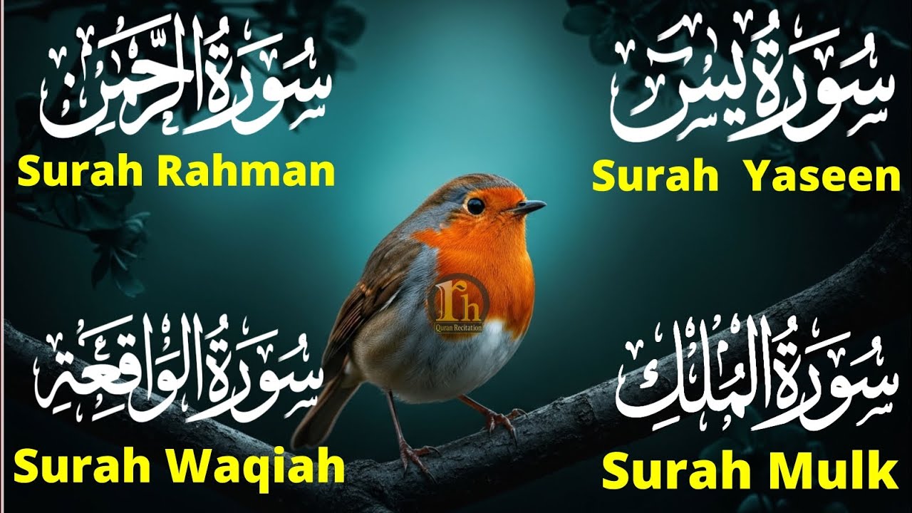 Beautiful Surah Yaseen (Yasin) | Surah Rahman | Surah Waqiah | Surah Mulk | Episode 95