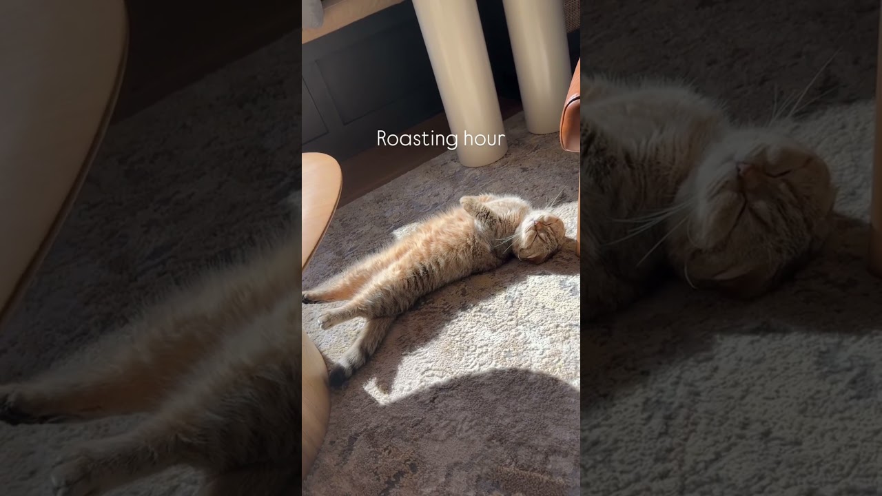Nori loves to roast!