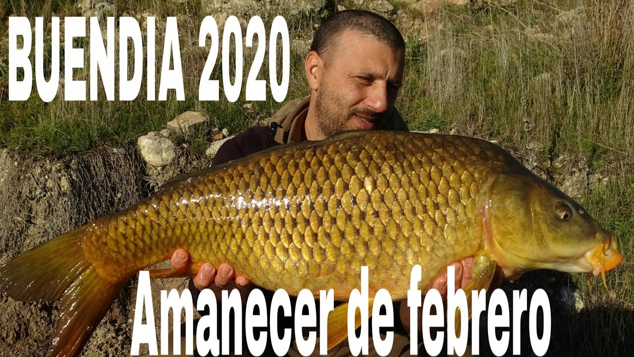 CARPFISHING BUENDIA 2020#LA LLEGADA DE LAS GRULLAS#