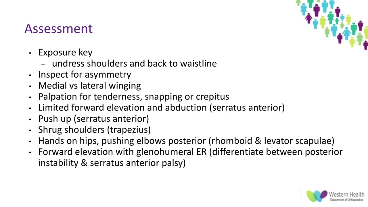 OrthoFracs - Scapula Winging by Dr. Phoebe Walker