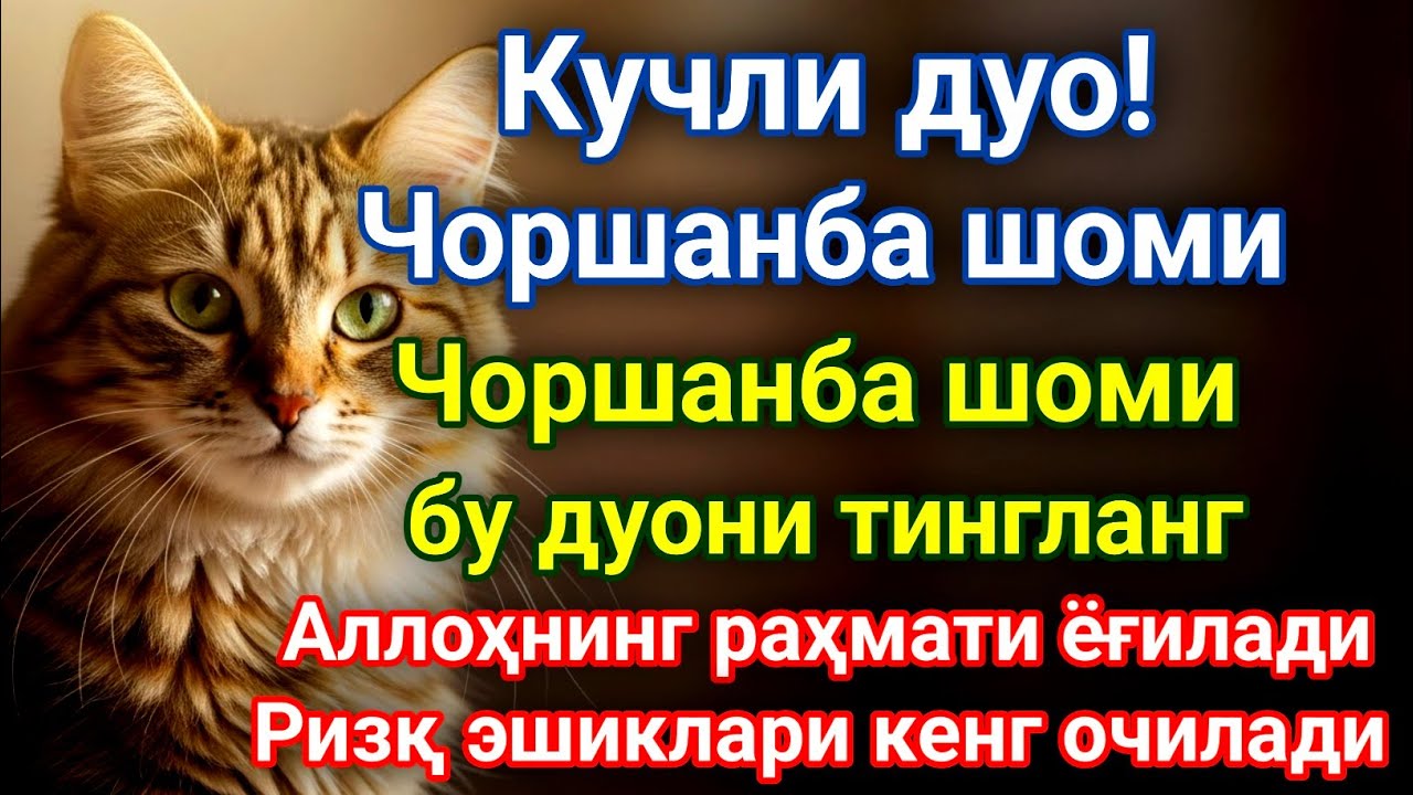 Ҳозир тингла — ҳаётингиз ўзгаради!Ризқ, барака ва муваффақият учун кучли дуо мураттал