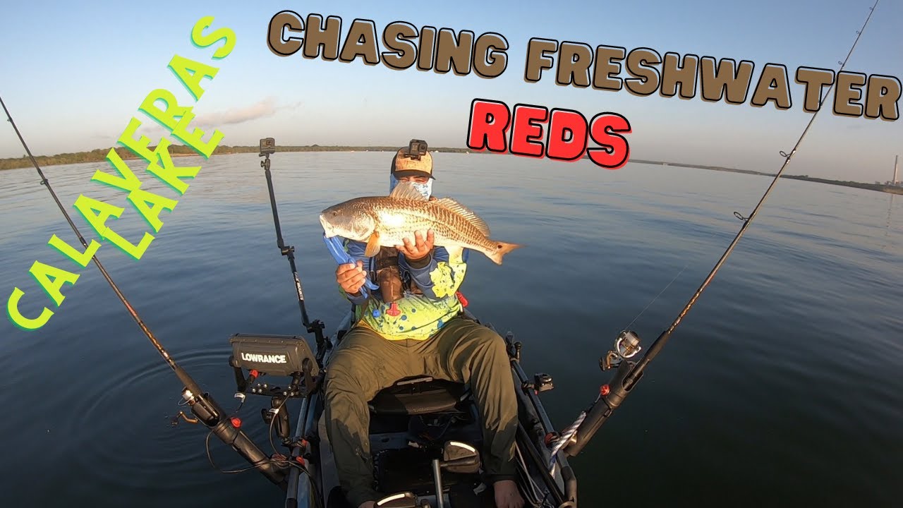 Chasing Freshwater Redfish- Kayak Fishing Calaveras Lake San Antonio