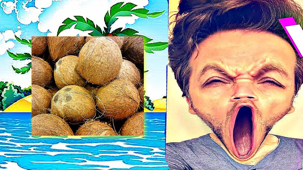 Jay Refutes Atheist using Coconuts