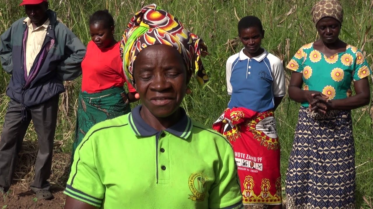 Building Resilience through Women Farmers in Manica province, Mozambique