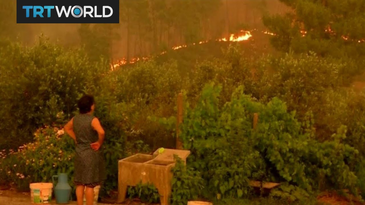 Portugal's deadly forest fires still rage