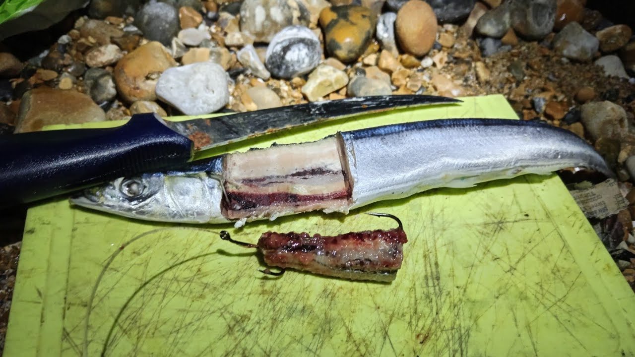 UK SHORE FISHING IN WINTER - SEA FISHING IN EASTBOURNE - UK SEA FISHING 
