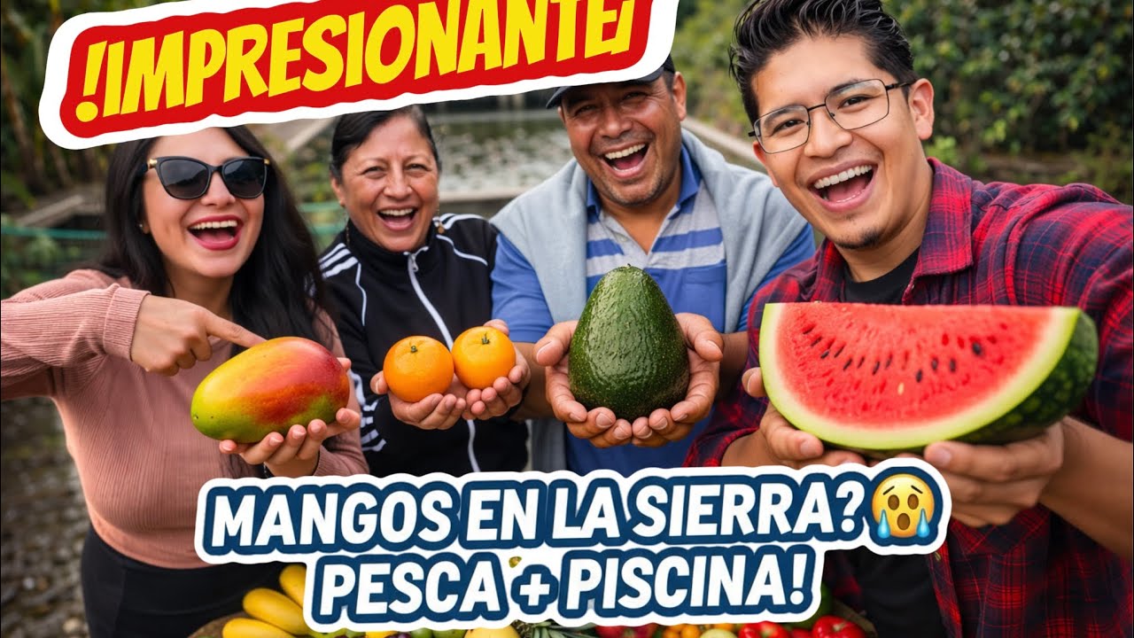 ¡EL LUGAR MÁS RARO DE ECUADOR! 🇪🇨 Mangos en plena Sierra
