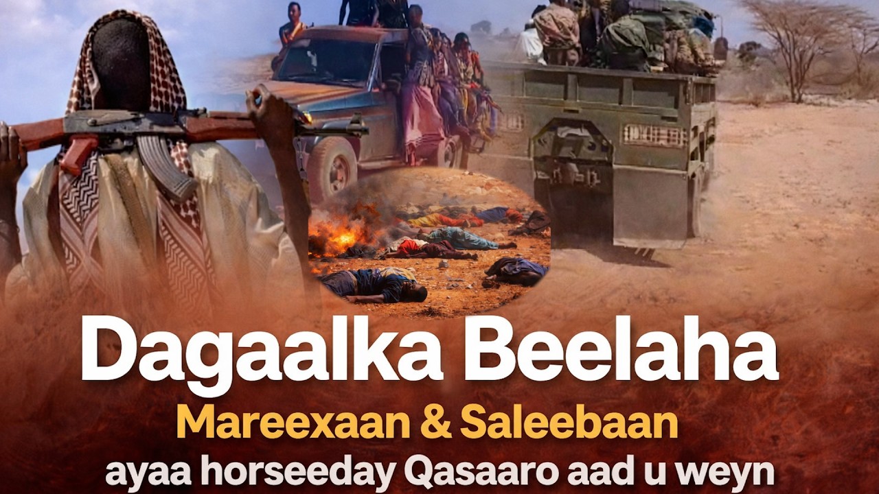 Dagaalka Beelaha Mareexaan & Saleebaan ayaa horseeday Qasaaro.