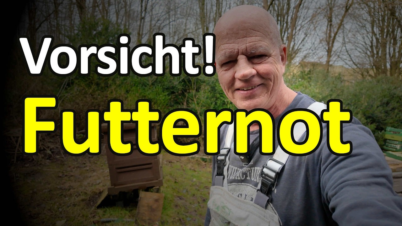 Vorsicht! Futternot: Ambrosia Futterteig geben - Füttern der Körbe und Combi-Beute #dunklebiene