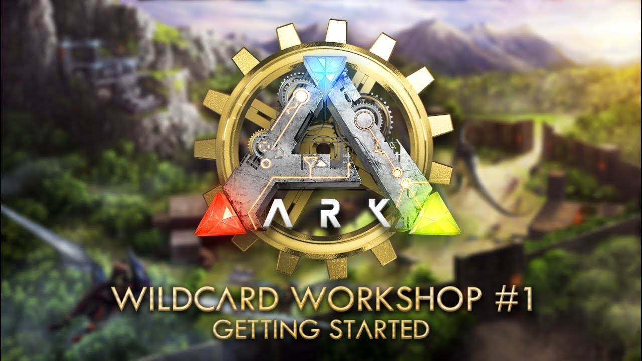 Wildcard Workshop #1: Основы