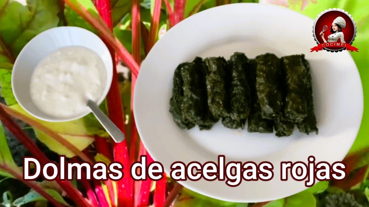 Sorprende a tus amigos con estas deliciosas dolmas de acelga roja!