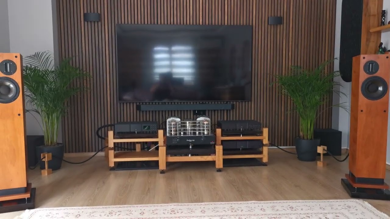 Mastersound evolution 845 +ProAc d30 Rs