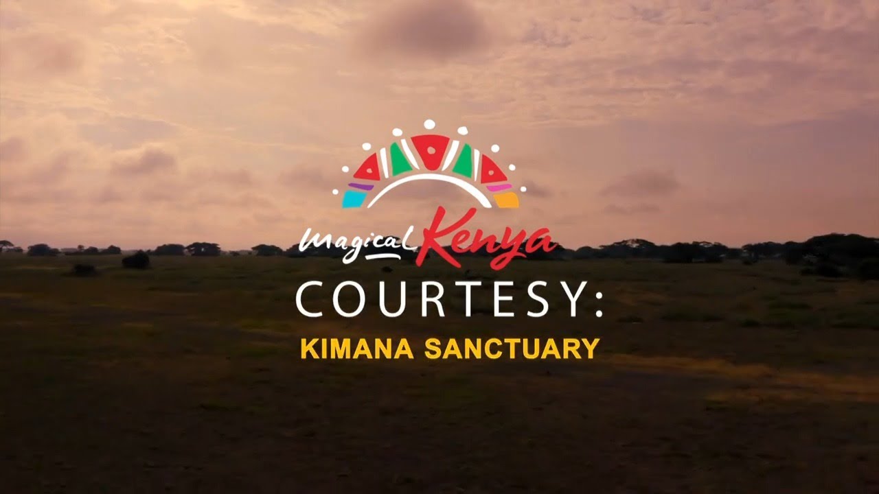 Kimana Conservancy