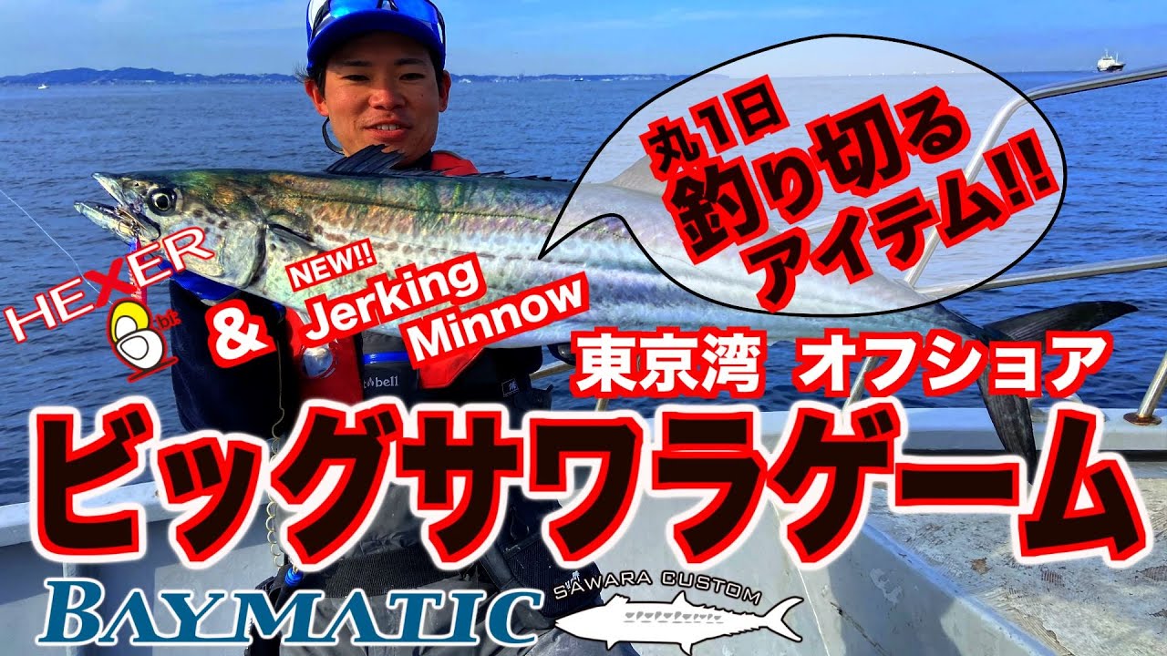 ヘキサーBとジャーキングミノーで狙う大型サワラ in 東京湾