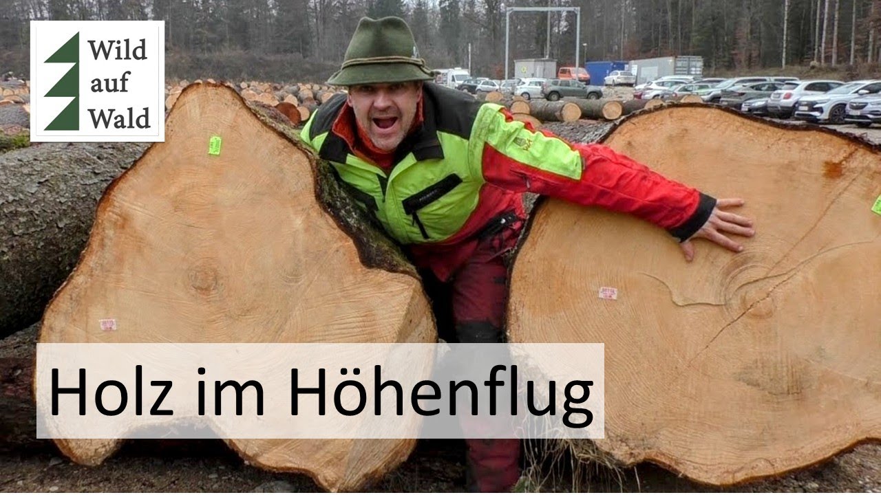 🌲1000 Stämme unter dem Hammer – So lief die Nadelholz-Wertholzversteigerung #wildaufwald