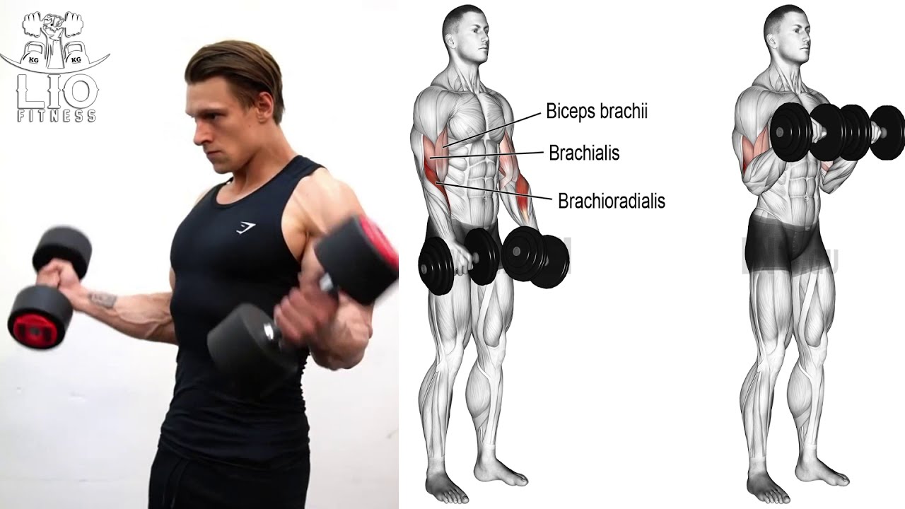 13 EJERCICIOS PARA AGRANDAR BRAZOS CON MANCUERNAS | RUTINA DE EJERCICIOS PARA BRAZOS