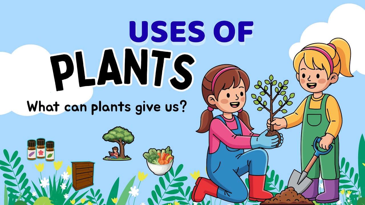 Use of Plants | How are plants important to people | How Plants help us | What can plants give to us