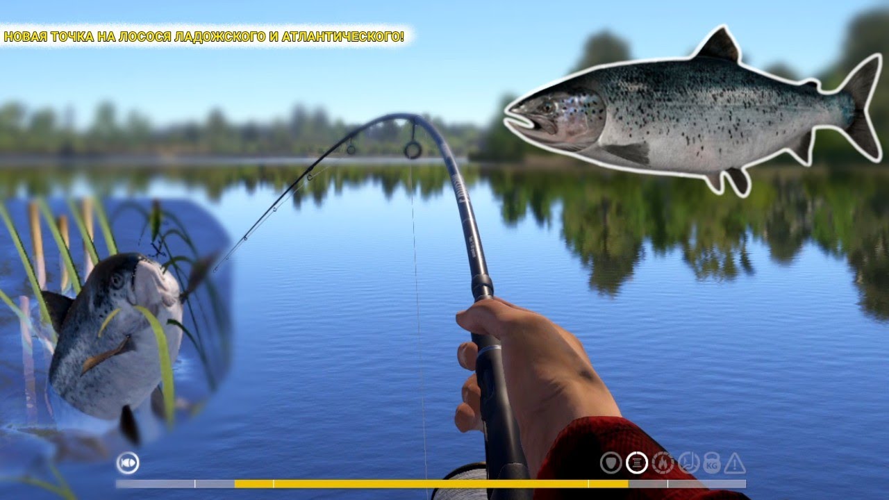 НОВАЯ ТОЧКА НА ЛОСОСЯ ЛАДОЖСКОГО И АТЛАНТИЧЕСКОГО! НОВАЯ ТОЧКА НА РЕЧКЕ ВОЛХОВ!