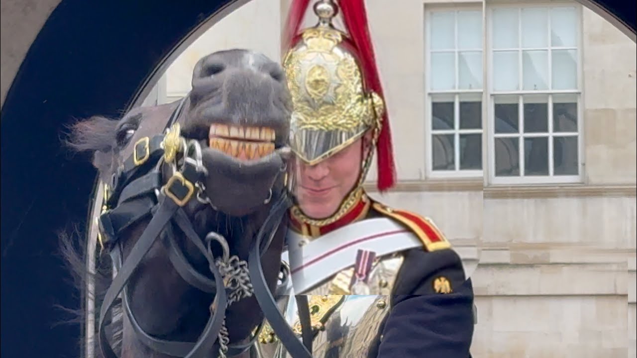 King's Horse and Guard Couldn't Hold On Smiles as Boss Did This!
